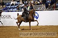 09usn-06806 proof
