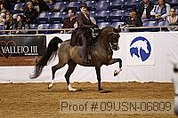 09usn-06809 proof