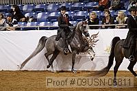 09usn-06811 proof