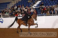 09usn-06812 proof