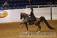 09usn-06826 proof