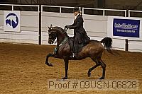 09usn-06828 proof
