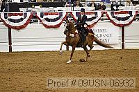 09usn-06932 proof