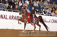 09usn-06955 proof