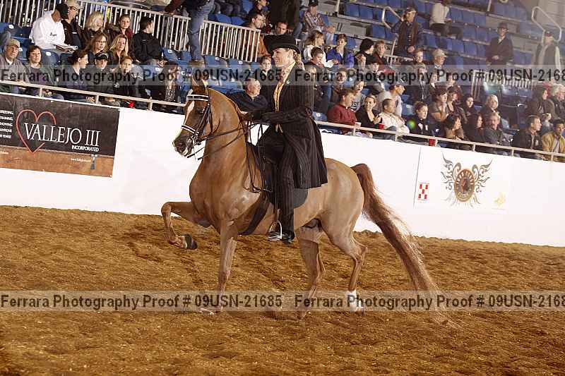 Proof 09usn-21685