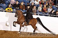 09usn-21696 proof