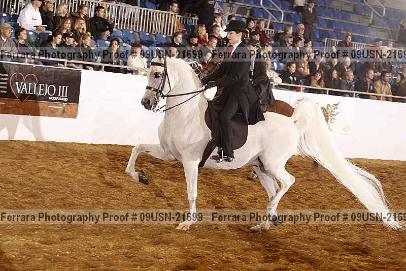 Proof 09usn-21699