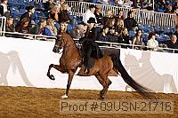 09usn-21716 proof
