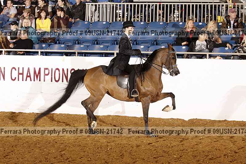 Proof 09usn-21742