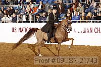 09usn-21743 proof