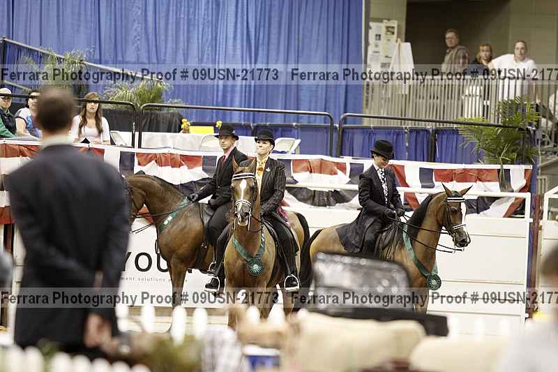 Proof 09usn-21773