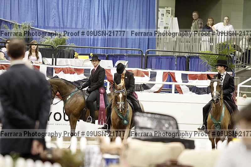 Proof 09usn-21777