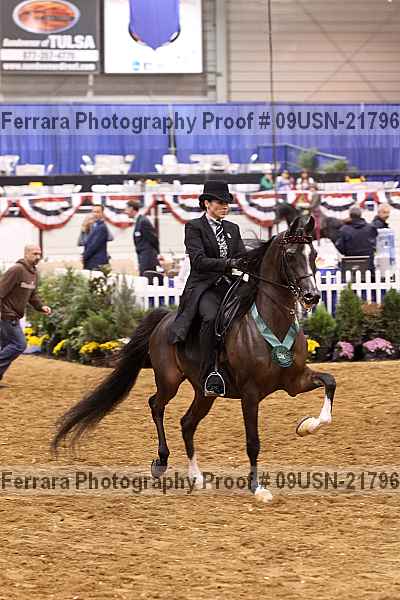 Proof 09usn-21796