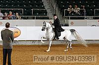 09usn-03981 proof