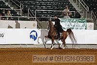 09usn-03983 proof