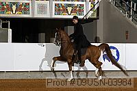 09usn-03984 proof