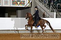 09usn-03992 proof
