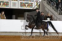 09usn-03996 proof