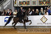 09usn-04001 proof
