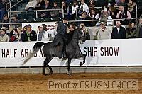 09usn-04003 proof