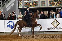 09usn-04004 proof