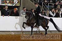 09usn-04011 proof