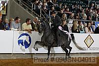 09usn-04013 proof