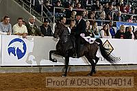 09usn-04014 proof
