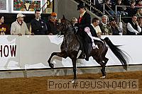 09usn-04016 proof