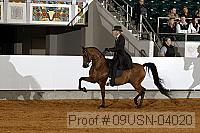 09usn-04020 proof