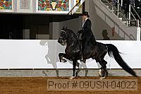 09usn-04022 proof