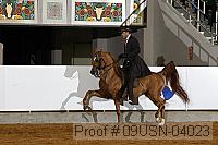 09usn-04023 proof