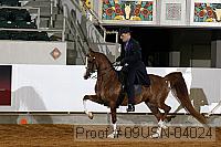 09usn-04024 proof