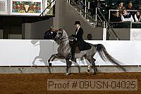 09usn-04025 proof