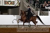09usn-04027 proof