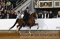09usn-04030 proof