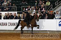 09usn-04032 proof