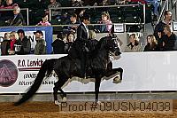 09usn-04038 proof