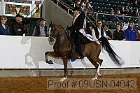 09usn-04042 proof
