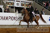 09usn-04046 proof