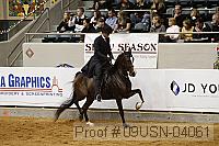 09usn-04061 proof