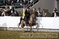09usn-27946 proof