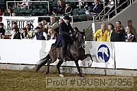 09usn-27956 proof