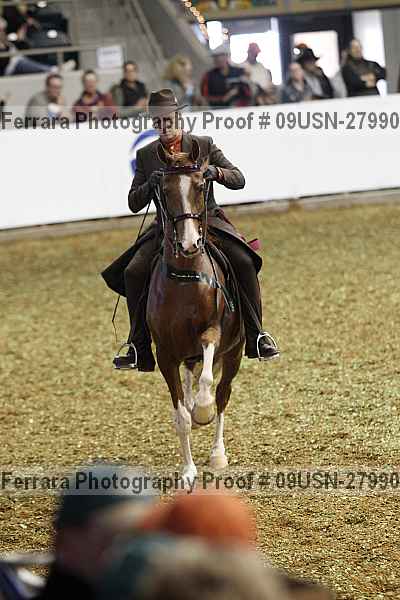 Proof 09usn-27990