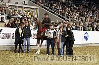 09usn-28011 proof