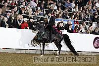 09usn-28021 proof