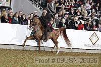 09usn-28036 proof