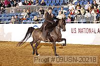 09usn-20218 proof