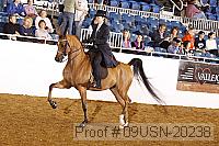 09usn-20238 proof