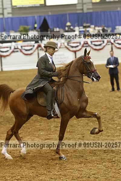 Proof 09usn-20257